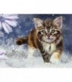 Peinture chaton à la neige Diamond Painting