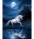 Licorne blanche sous la lune Diamond Painting