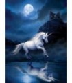 Licorne blanche sous la lune Diamond Painting