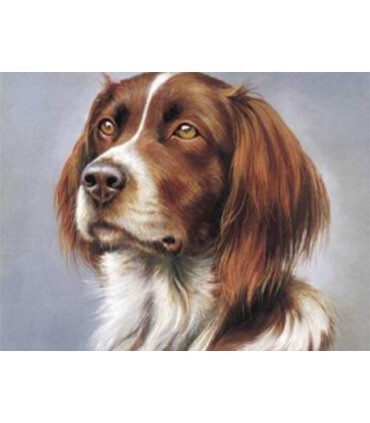 Portrait chien Epagneul Diamond Painting