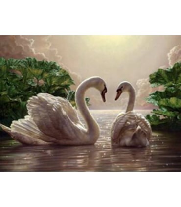 Charmant couple de cygnes Diamond Painting
