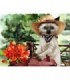 Chat à la campagneDiamond Painting