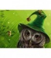 Hibou sorcier Diamond Painting