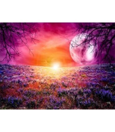 Tableau Nuit Rouge Diamond Painting