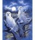 Hiboux blancs dans la nuit Diamond Painting