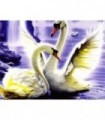 Beau couple de cygne Diamond Painting