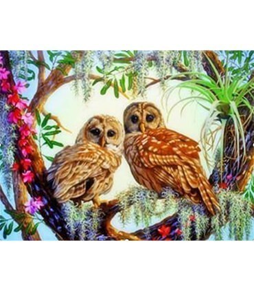 Les chouettes curieuses Diamond Painting