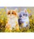 Chaton roux chaton gris 2 Diamond Painting