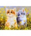 Chaton roux chaton gris 2 Diamond Painting