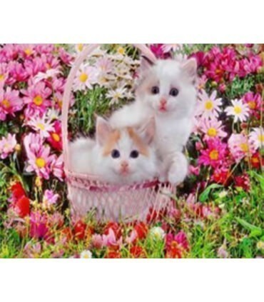 Chatons dans le panier Diamond Painting