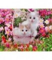 Chatons dans le panier Diamond Painting