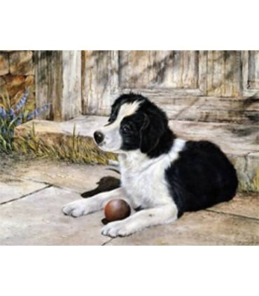 Chien dans la cours Diamond Painting