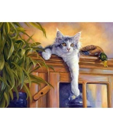 Chat sur l'armoire Diamond Painting