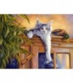 Chat sur l'armoire Diamond Painting