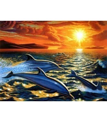 Famille de dauphins Diamond Painting