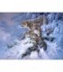 Les panthères des Neiges Diamond Painting