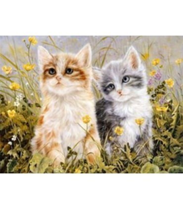 Chaton roux chaton gris 3 Diamond Painting