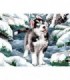 Chiot Husky dans la neige Diamond Painting