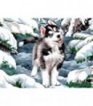 Chiot Husky dans la neige Diamond Painting