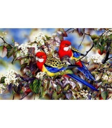 Couple de perruches colorés Diamond Painting