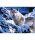 Portrait du loup blanc Diamond Painting