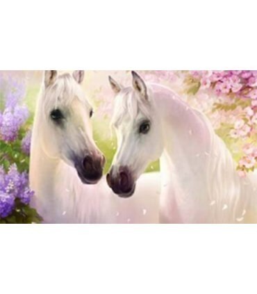 Les deux canassons blancs Diamond Painting