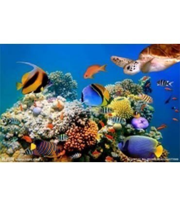 Nouveau monde marin Diamond Painting