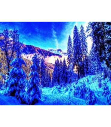 La foret enneigé et coloré Diamond Painting