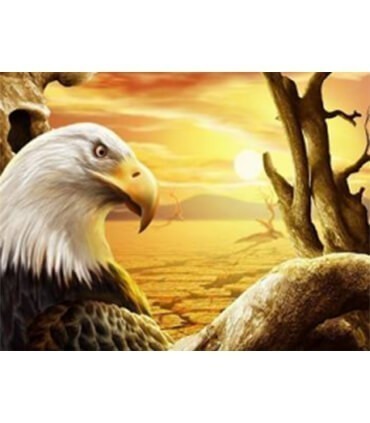 Portrait de l'aigle Royal Diamond Painting