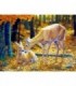Biches en automne Diamond Painting