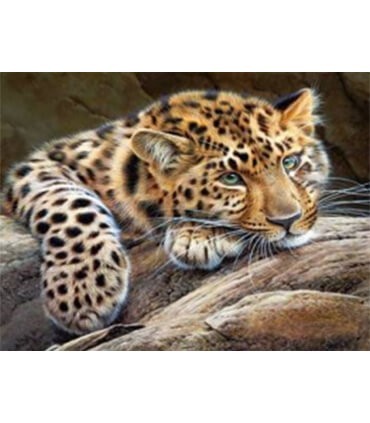 Léopard qui se repose Diamond Painting