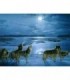 Meute de loup à la pleine luneDiamond Painting