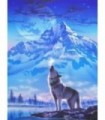 Joli loup des Montagne Diamond Painting