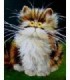 Dessin de chat surpris Diamond Painting