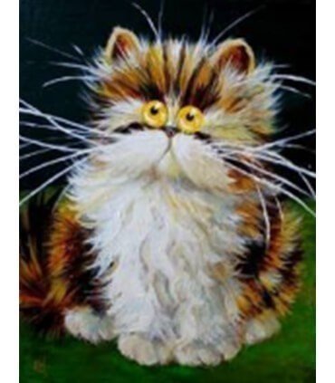 Dessin de chat surpris Diamond Painting