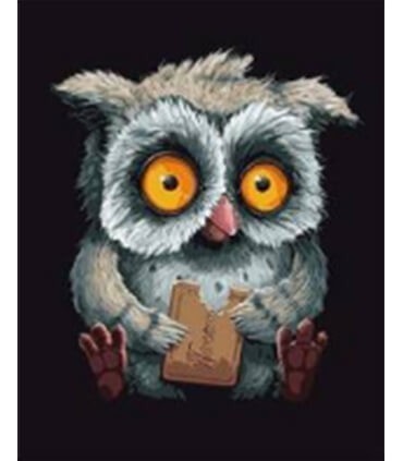 La chouette et son biscuit Diamond Painting