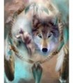 Loup Indien 3 Diamond Painting
