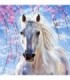 Portrait du cheval blanc Diamond Painting