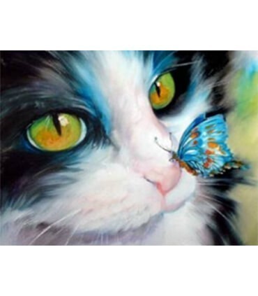 Chat et son papillon 2 Diamond Painting