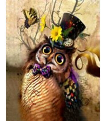 La chouette costumé Diamond Painting