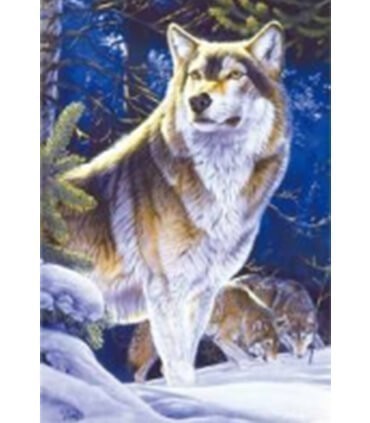 Un beau portrait de loup Diamond Painting