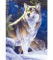 Un beau portrait de loup Diamond Painting