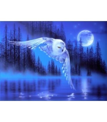 Vol de nuit du hibou blanc Diamond Painting