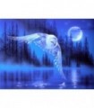 Vol de nuit du hibou blanc Diamond Painting