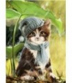 Couvre toi petit chat Diamond Painting