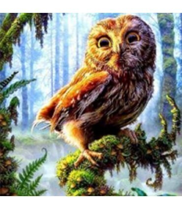 Chouette portrait Diamond Painting