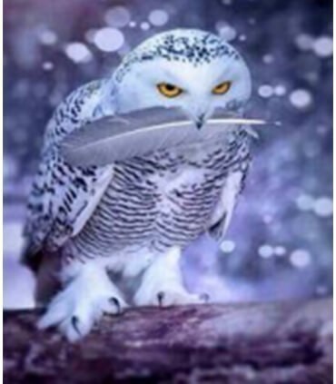 Hibou avec sa plume Diamond Painting