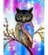 Hibou coloré Diamond Painting