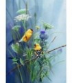 Canaries et fleurs des champs Diamond Painting