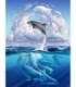 Saut du magestueux dauphin Diamond Painting